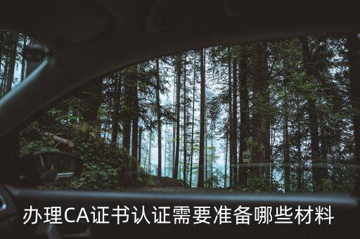 升級(jí)ca需要什么情況，中國(guó)銀行個(gè)人網(wǎng)銀中銀E盾CA證書更新操作步驟是什么