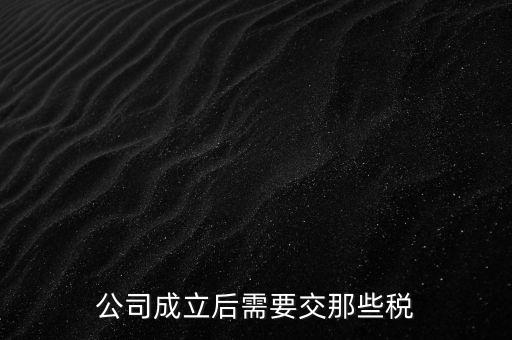 辦一個企業(yè)都需要交什么稅，公司成立后需要交那些稅