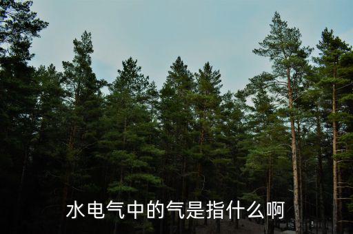 水電氣退稅氣指什么，公租房的水電氣的氣是指什么