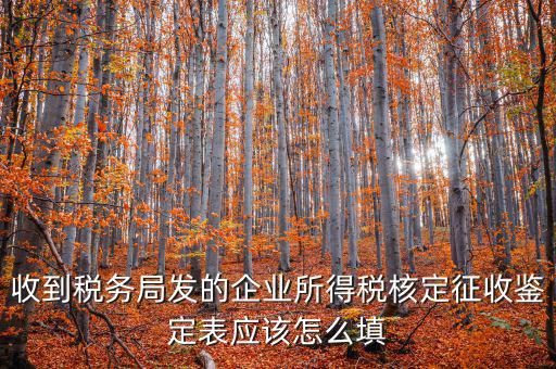 去稅務局核定征收填什么，核定征收企業(yè)報所得稅在去稅務局核定時需要拿什么資料