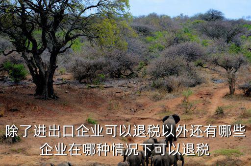 中國什么公司可以退稅，除了進(jìn)出口企業(yè)可以退稅以外還有哪些企業(yè)在哪種情況下可以退稅