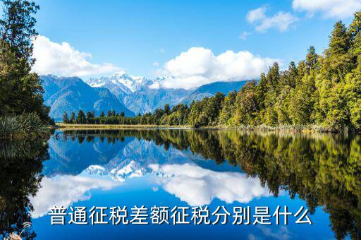 差額征收和簡易征收有什么區(qū)別，什么是差額征收