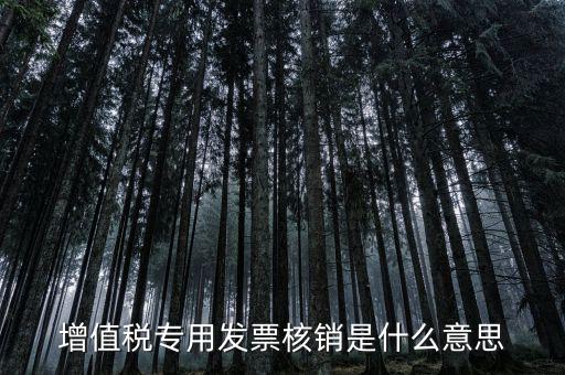 發(fā)票管家是什么，發(fā)票開(kāi)票系統(tǒng)KEY是什么