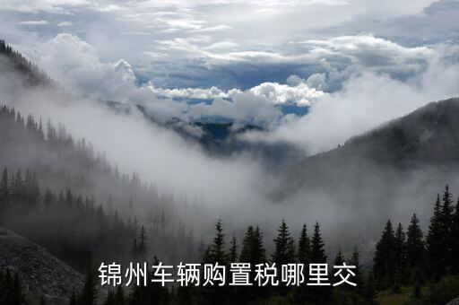 錦州國(guó)稅局車(chē)輛購(gòu)置部門(mén)是什么，錦州機(jī)動(dòng)車(chē)購(gòu)置稅在哪里交