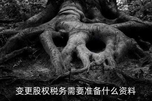 股權(quán)變更完稅憑證需要什么資料，變更股權(quán)稅務需要準備什么資料