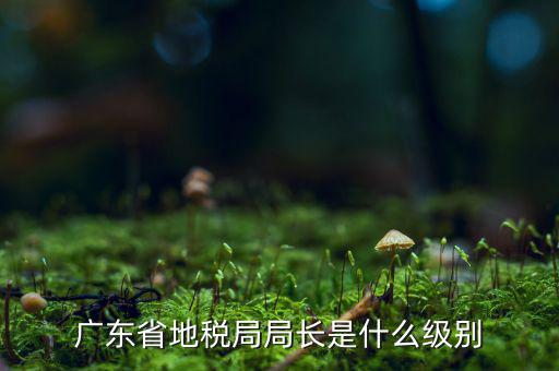 地稅局長是什么級別，廣東省地稅局局長是什么級別