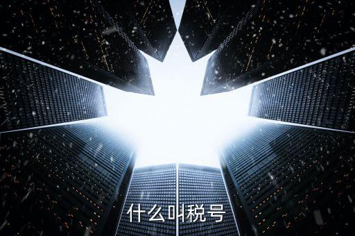 出口企業(yè)稅號是什么，什么叫稅號