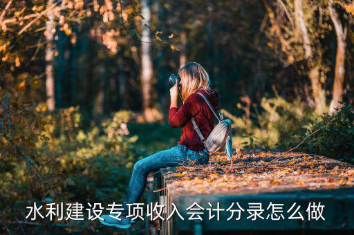 水利建設(shè)專(zhuān)項(xiàng)收入是什么，水利建設(shè)專(zhuān)項(xiàng)收入會(huì)計(jì)分錄怎么做