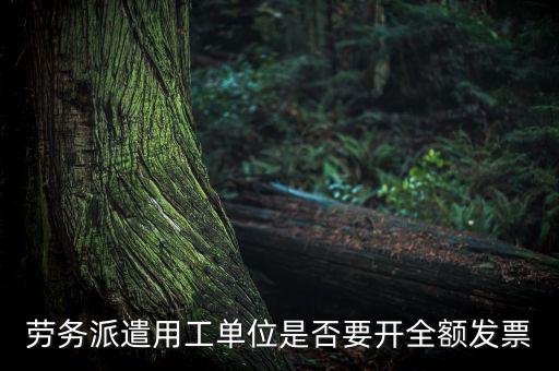 勞務(wù)派遣開什么票，勞務(wù)派遣小時工發(fā)票怎么開