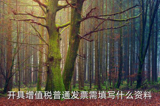 開增值稅普通需要什么資料，開增值稅票需要什么資料