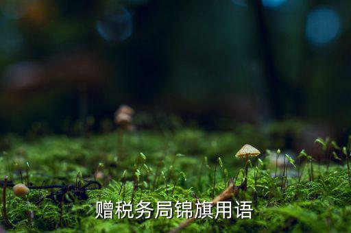 送錦旗給稅局可以寫什么內(nèi)容，贈稅務局錦旗用語