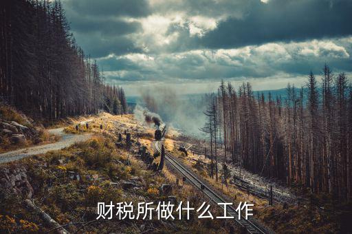 財(cái)稅公司是干什么的，深圳財(cái)稅顧問公司是干什么的