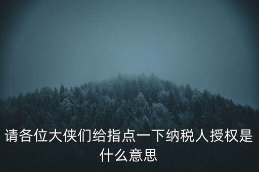 納稅人獲得感是什么意思，請各位大俠們給指點(diǎn)一下納稅人授權(quán)是什么意思