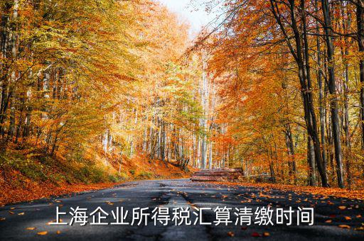上海企業(yè)匯算清繳到什么時(shí)候，公司年度匯算清繳申報(bào)所得稅幾月結(jié)束