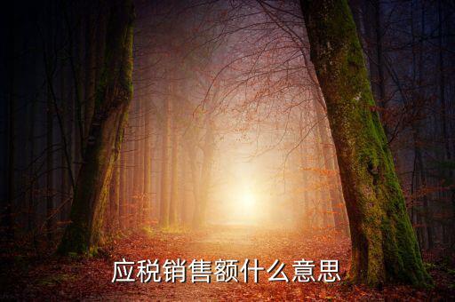 稅務(wù)銷售額是什么意思，年應(yīng)稅銷售額是什么意思