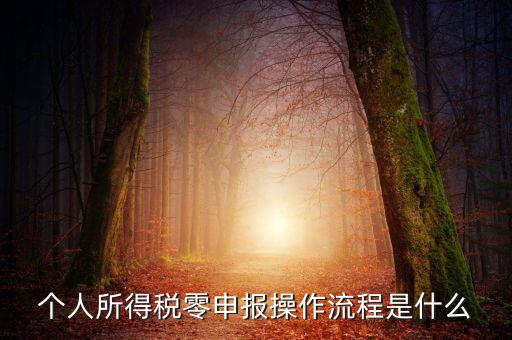扣繳稅款登記主要流程是什么，納稅流程是怎樣的