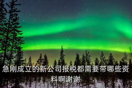 報稅要帶什么資料，增值稅報稅都要準備哪些資料