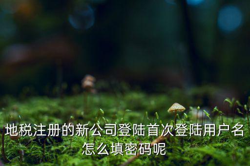 河北省地稅注冊用戶名是什么，稅務用戶名是什么啊