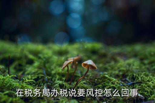 稅務(wù)局風(fēng)控管理是做什么的，稅務(wù)局風(fēng)控科好嗎