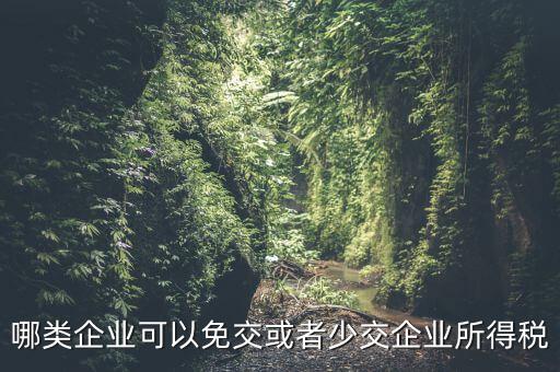 什么情況下企業(yè)可以減免稅收，哪類企業(yè)可以免交或者少交企業(yè)所得稅