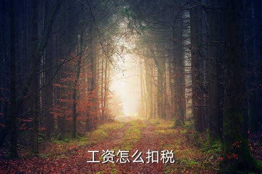 員工工資中的稅是按什么扣的，工資怎么扣稅