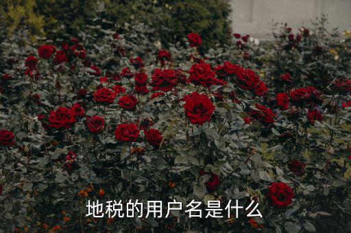 地稅登錄子賬號(hào)是什么，地稅的用戶名是什么