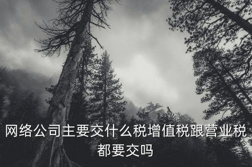 互聯(lián)網企業(yè)交什么稅，互聯(lián)網公司在稅收上有何政策