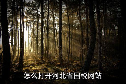 河北稅務(wù)官網(wǎng)是什么意思，怎么打開河北省國(guó)稅網(wǎng)站