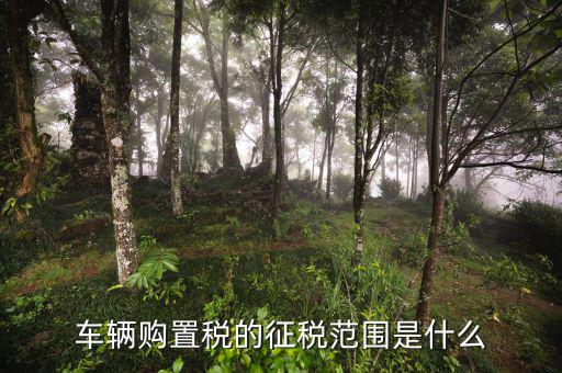車輛購(gòu)置稅征收范圍由什么決定，車輛購(gòu)置稅的征稅范圍是什么
