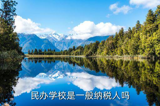 學校屬于什么納稅人，民辦學校是一般納稅人嗎