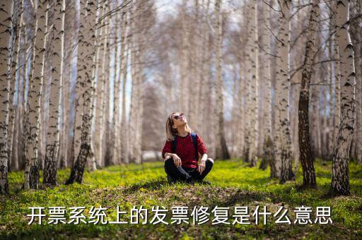 發(fā)票修復(fù)是什么意思，開票系統(tǒng)上的發(fā)票修復(fù)是什么意思