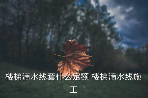江蘇滴水套什么定額，滴水線套什么定額