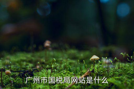 國稅局登陸信息網(wǎng)址是什么，國家稅務總局網(wǎng)站