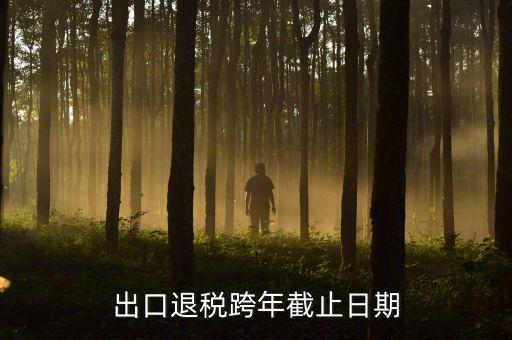 出口退免稅認(rèn)定日期是什么時(shí)候，出口退稅跨年截止日期