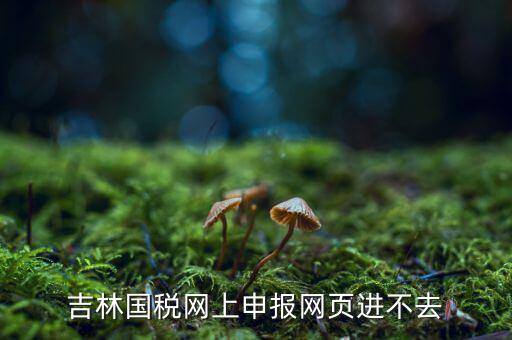 吉林省國稅上不去為什么，吉林省國家稅務(wù)局晚上申報 無法安全登陸