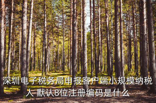 深圳納稅人編號(hào)是什么，什么是深圳市國稅百元開頭發(fā)票的納稅人識(shí)別號(hào)