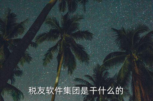 稅友軟件是干什么的，稅友的稅友軟件集團(tuán)