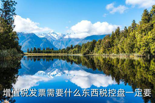發(fā)票打印需要什么盤，調(diào)試打印增值稅發(fā)票的打印機(jī)要插入金稅盤嗎
