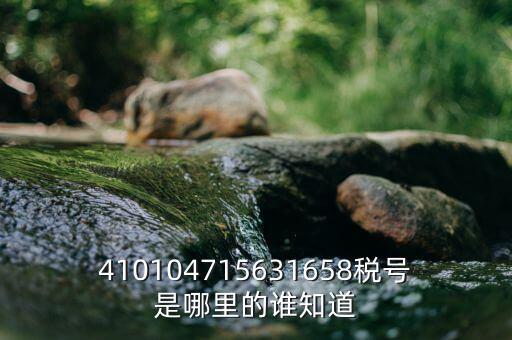 河南省的稅號是什么意思，410104715631658稅號是哪里的誰知道
