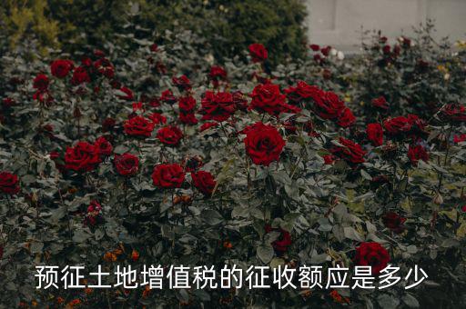 什么叫預征土地，什么是預征稅