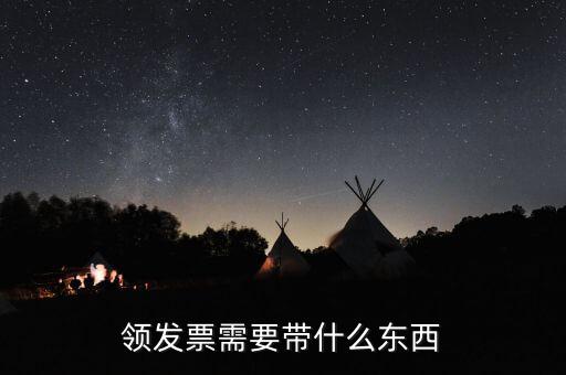 發(fā)票領(lǐng)用簿 需要什么資料，領(lǐng)發(fā)票需要帶什么東西