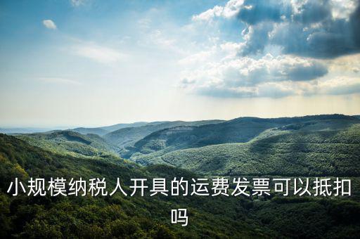 什么樣的運(yùn)費(fèi)票可以抵，運(yùn)輸費(fèi)增值稅都能用什么票抵扣