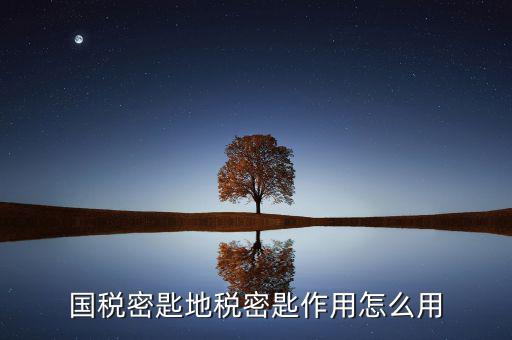 地稅密鑰是干什么的，國稅密匙地稅密匙作用怎么用