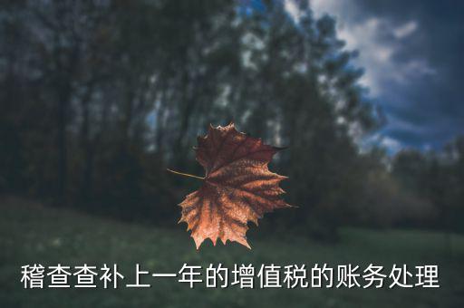 稽查補什么稅，請問被國稅局稽查局查處補交增值稅所得稅及滯納金計入應哪個科目