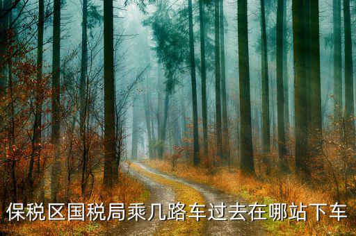 深圳市保稅區(qū)地稅局做什么車，深大北門到深圳市保稅區(qū)地稅局怎么走
