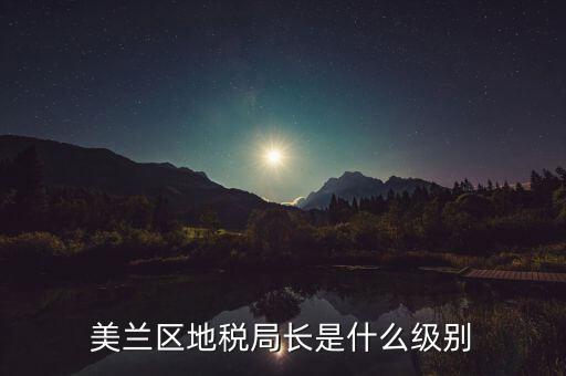 區(qū)地稅局局長什么級別，區(qū)里的地稅局局長是什么級別