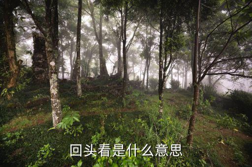 稅務(wù)回頭看什么意思，被稅務(wù)局風(fēng)險(xiǎn)監(jiān)控是什么意思