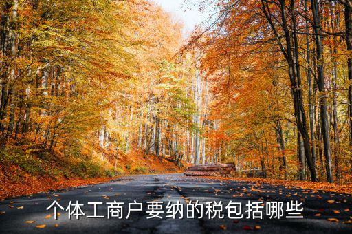 個(gè)體戶需要交什么稅，個(gè)體工商戶需要鈉哪些稅呢