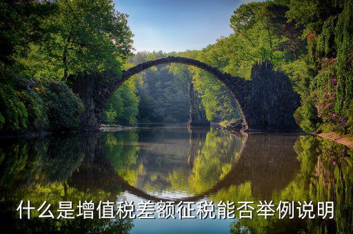 小規(guī)模增值稅差額征收什么意思，什么是增值稅差額征稅
