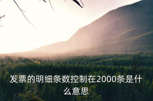 發(fā)票的明細條數控制在2000條是什么意思
